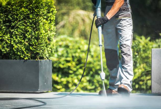 Best Graffiti Removal  in Oroville, CA