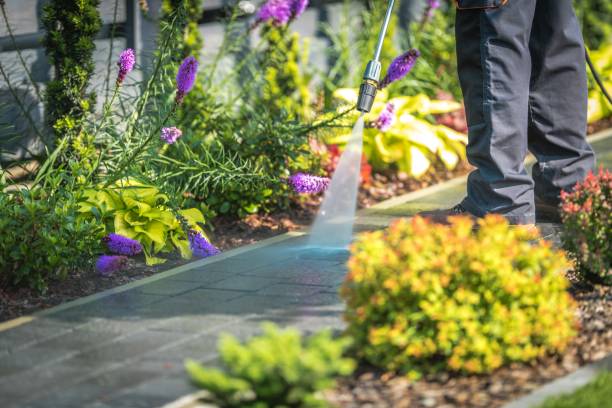 Best Sidewalk and Walkway Cleaning  in Oroville, CA
